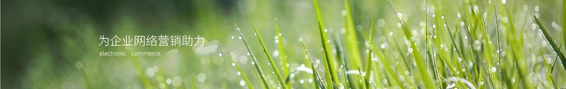 ԣԶе޹˾